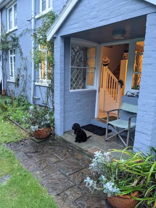 Ferienwohnung Cliffside Cowes  Exterior foto